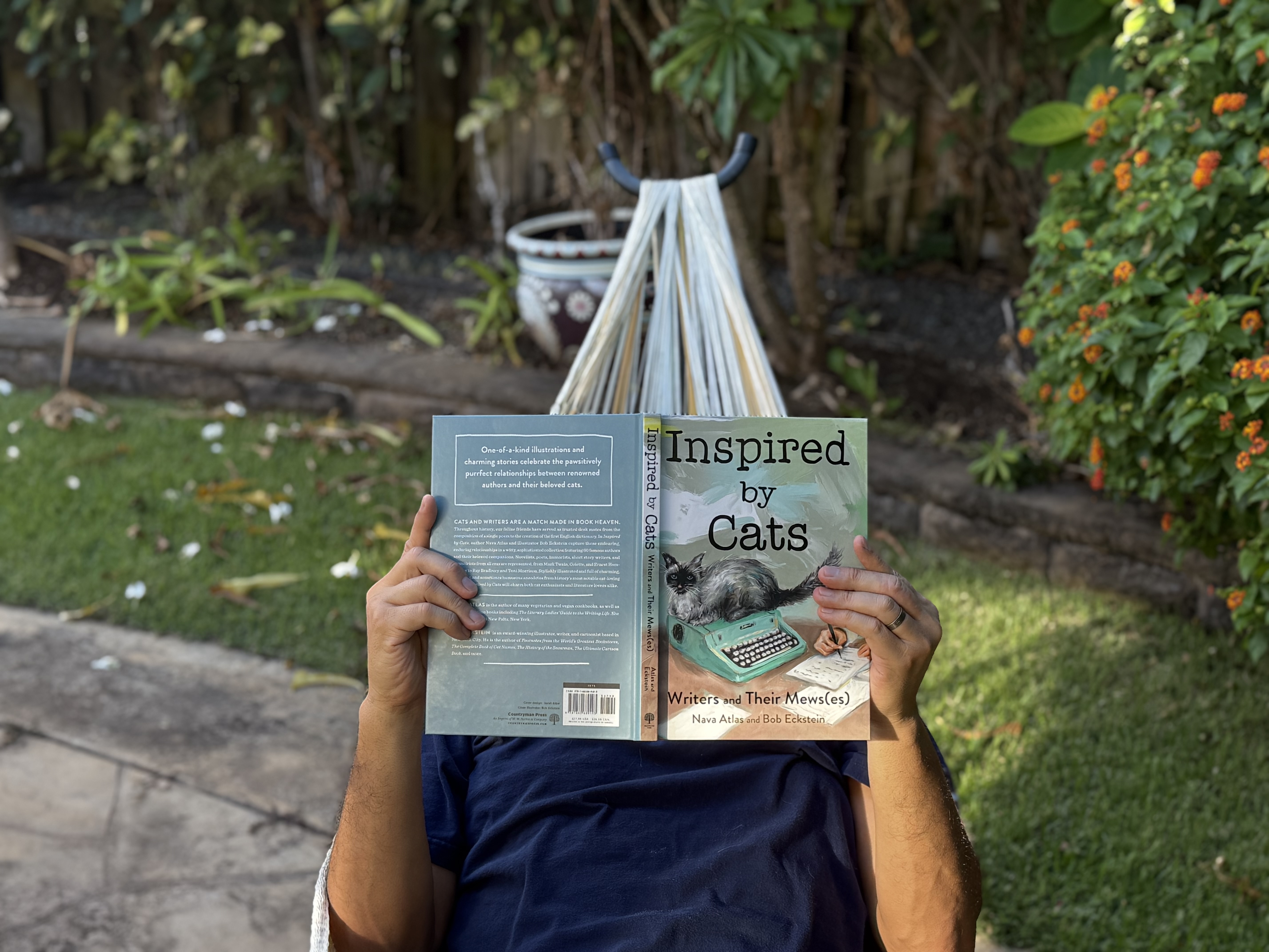 Looking for Cat Caption Inspiration?